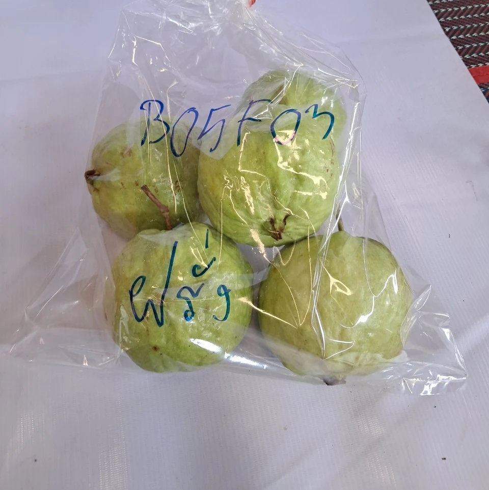 ฝรั่ง