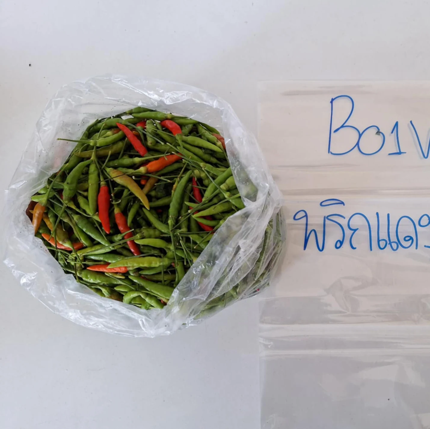พริกขี้หนู