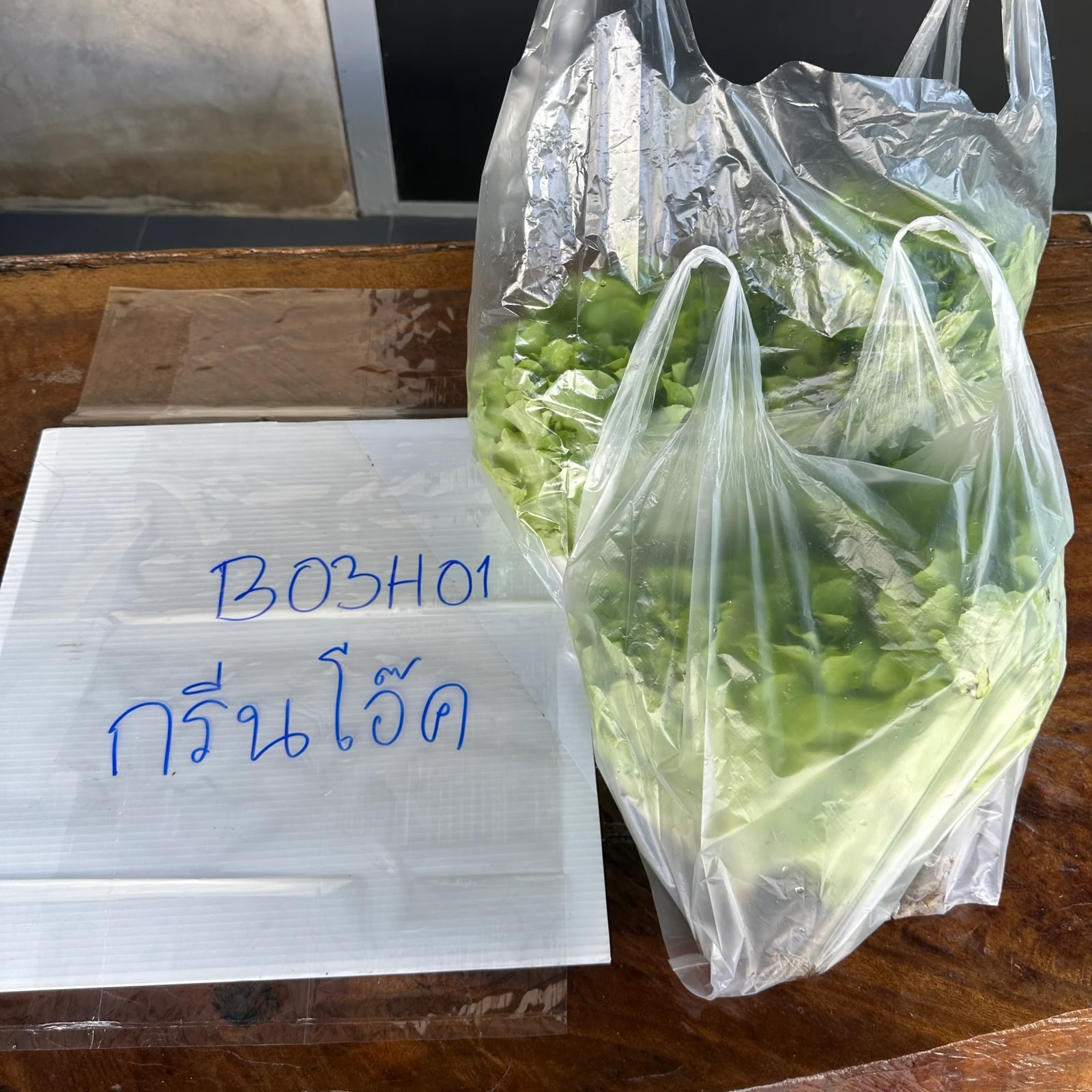 กรีนโอ๊ค