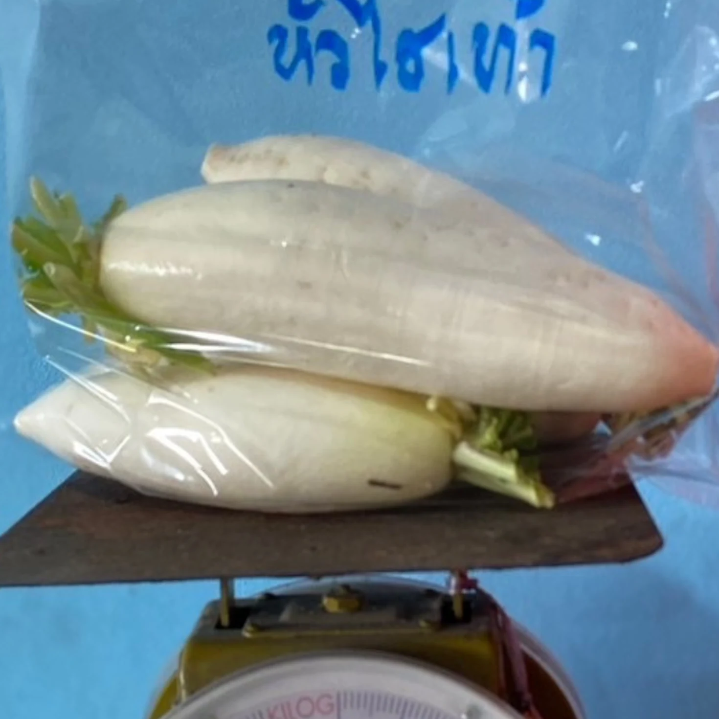 หัวไชเท้า