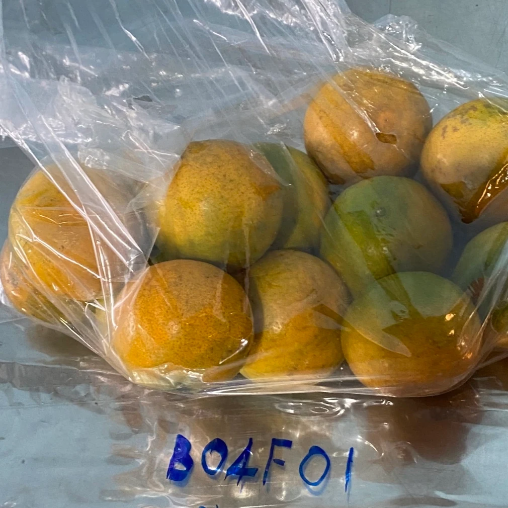 ส้มเปลือกล่อน