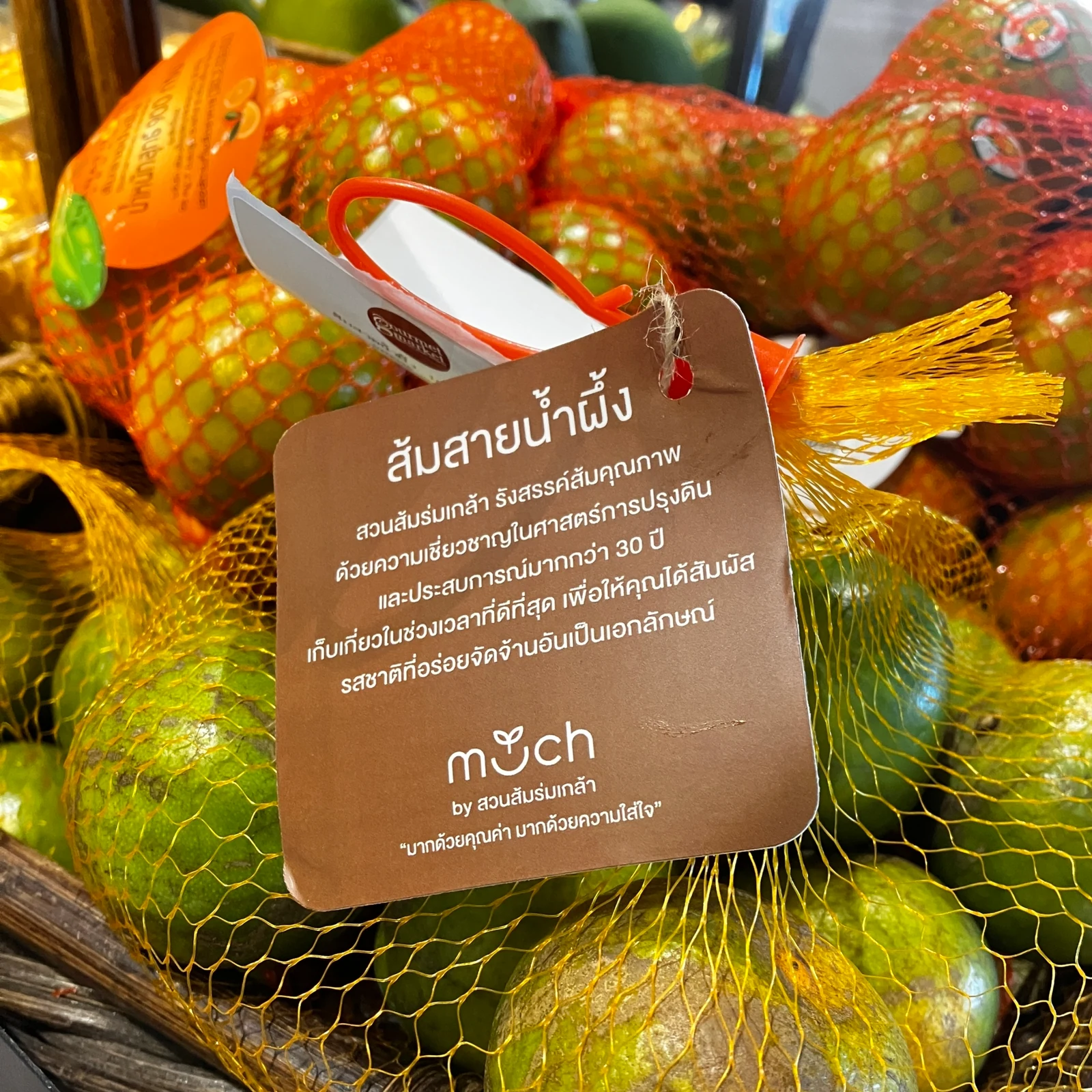 ส้มเปลือกล่อน