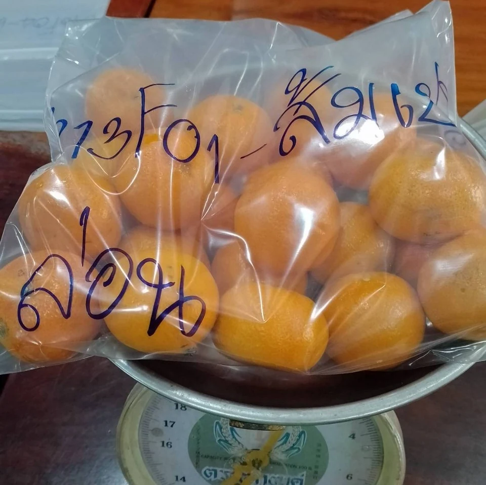 ส้มเปลือกล่อน