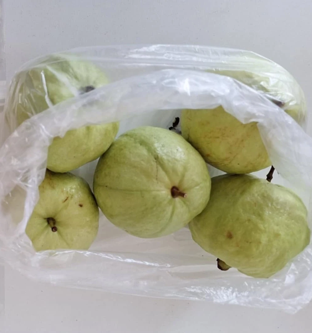 ฝรั่ง