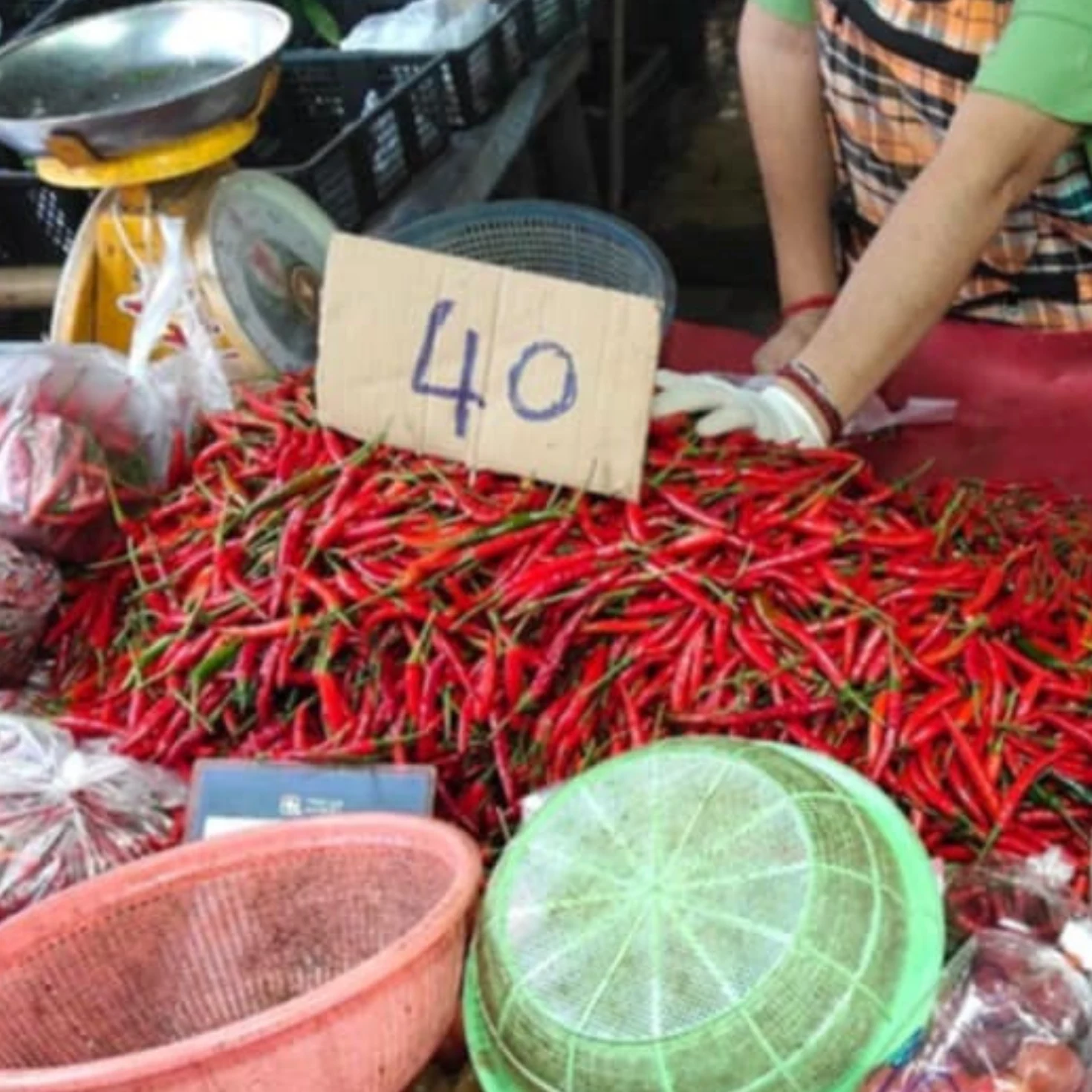 พริกแดงจินดา