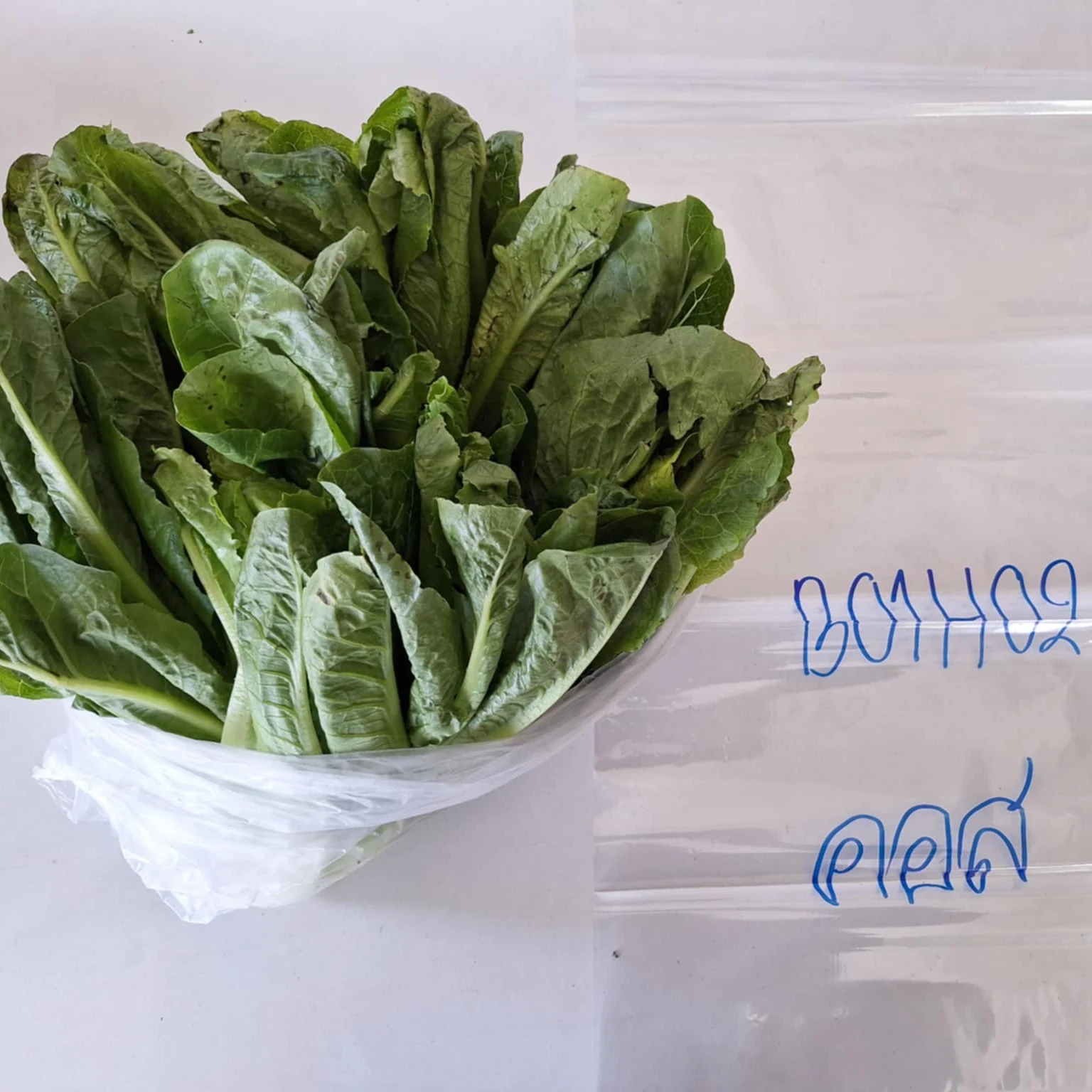 คอส
