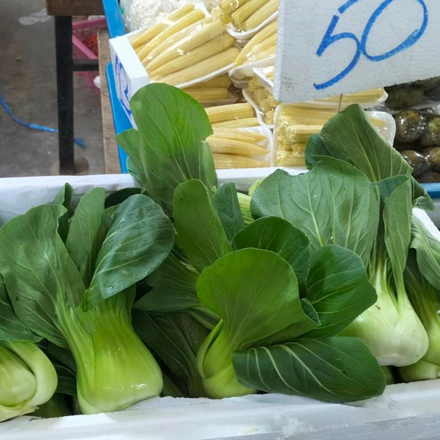 กวางตุ้งใต้หวัน