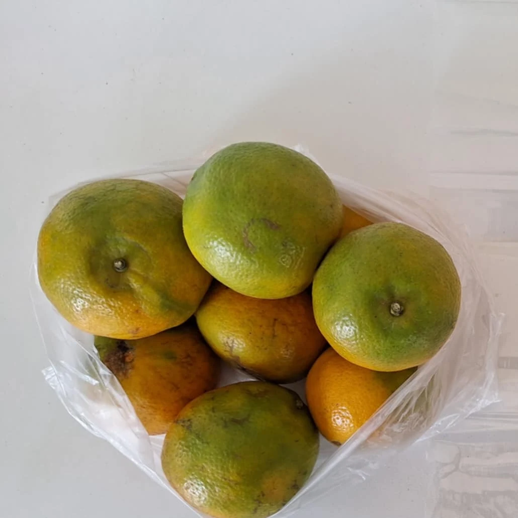 ส้มเปลือกล่อน