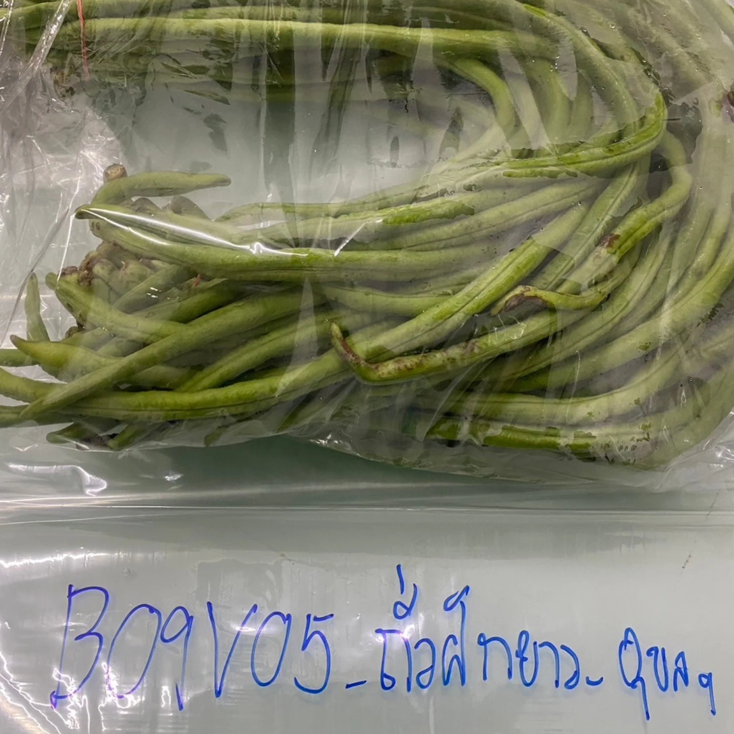 ถั่วฝักยาว