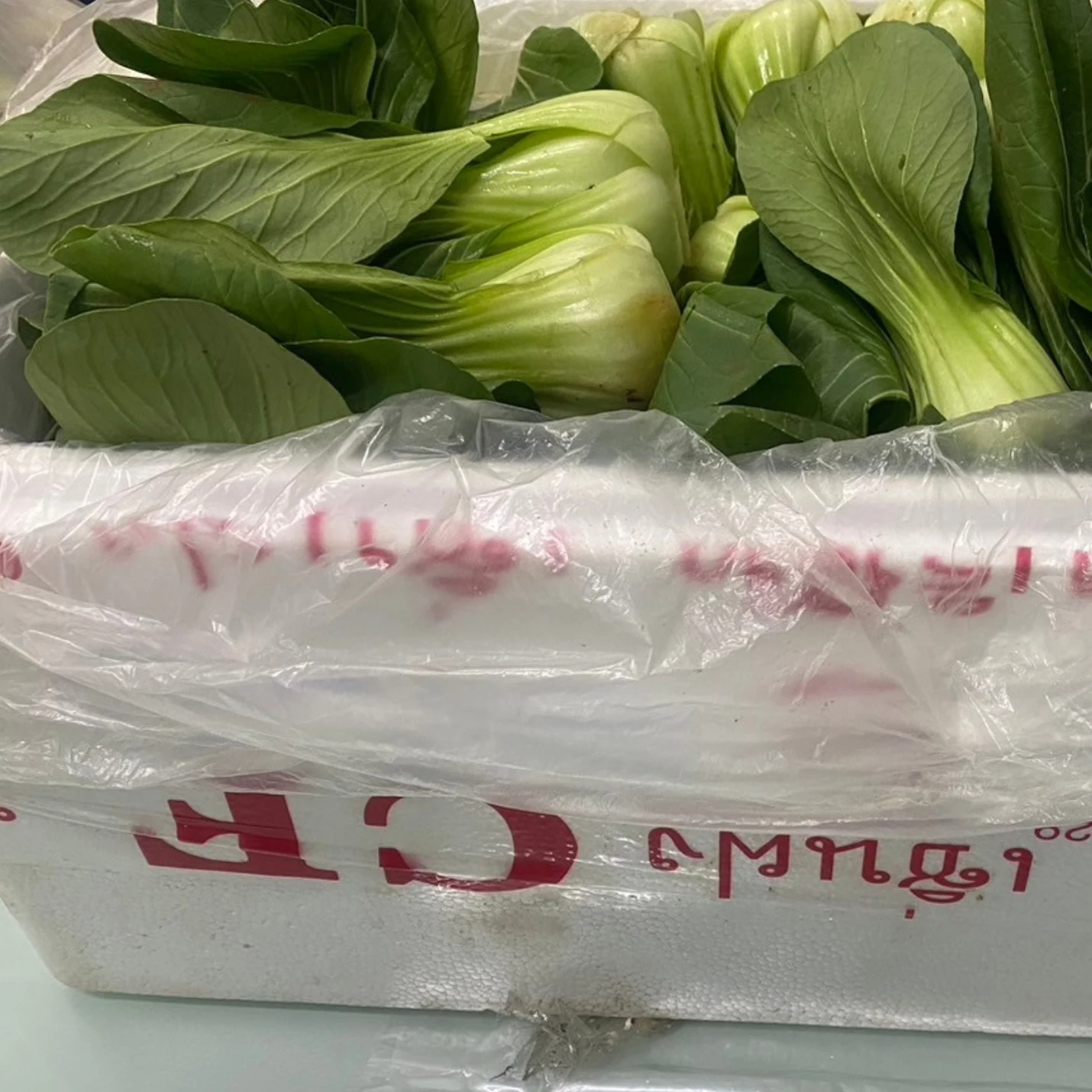 กวางตุ้งใต้หวัน
