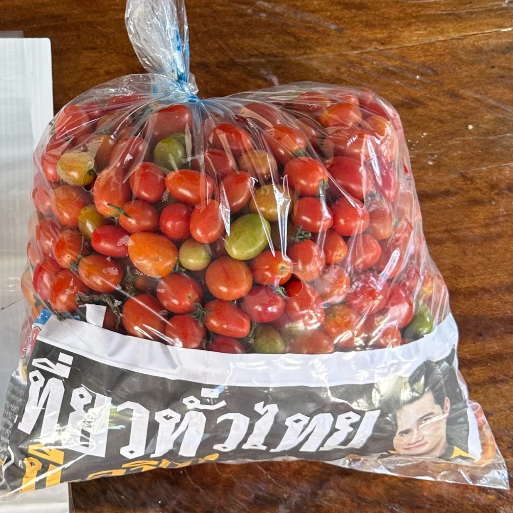 มะเขือเทศเชอร์รี่